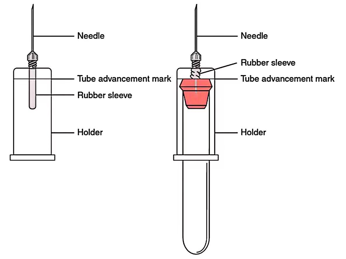 Components/ Parts of Blood Collection System